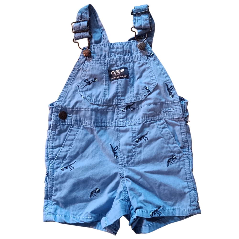 OshKosh B'gosh Blue Kids Overalls